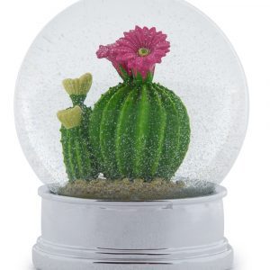 Cactus Snow Globe